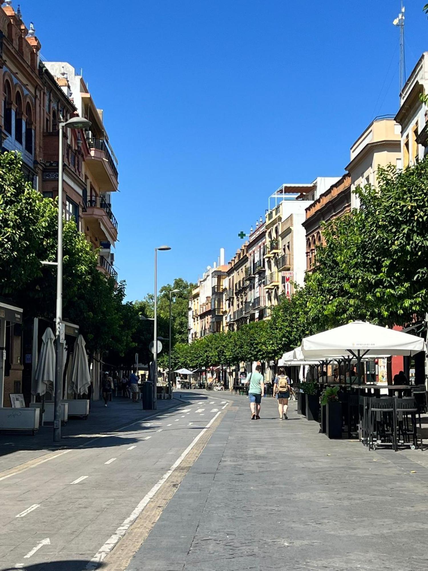 Apartament Rodrigo *